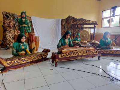 FLS2N